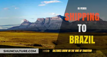 FedEx Shipping to Brazil: Services, Costs, and Delivery Times Explained