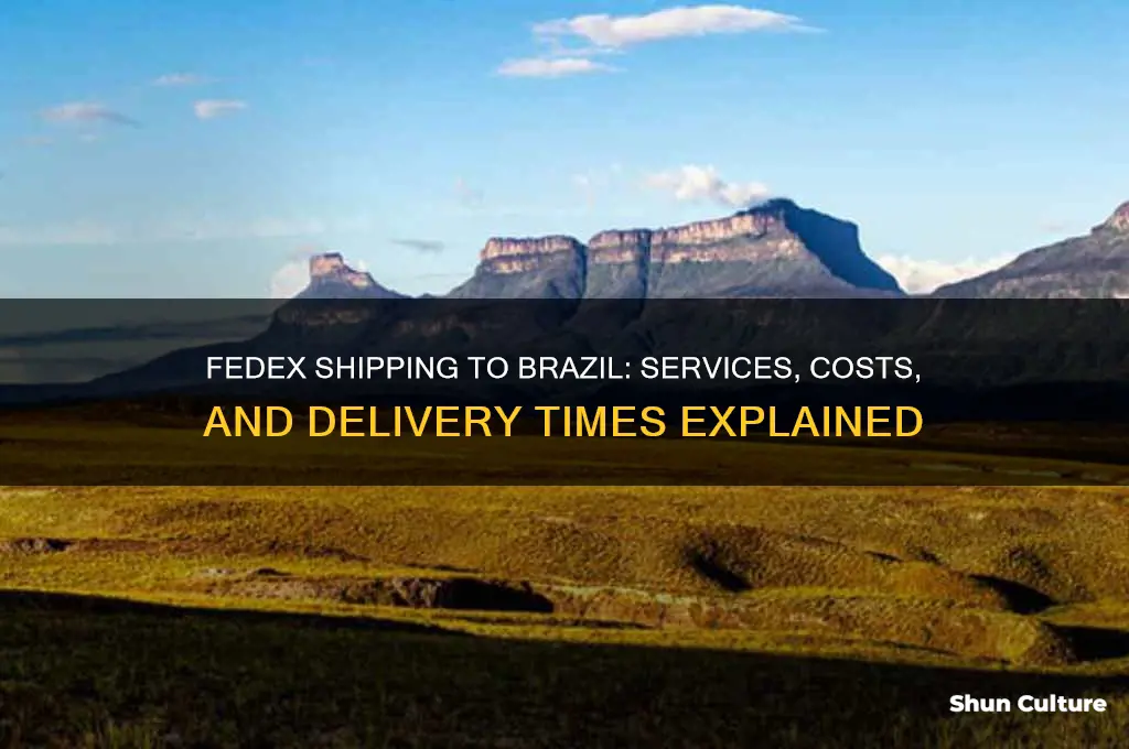 is fedex shipping to brazil