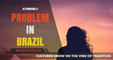 Femicide in Brazil: Uncovering the Alarming Reality of Gender-Based Violence