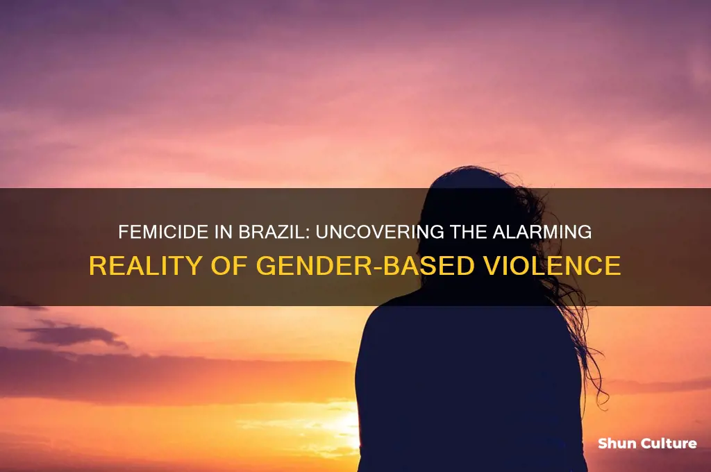 is femicide a problem in brazil