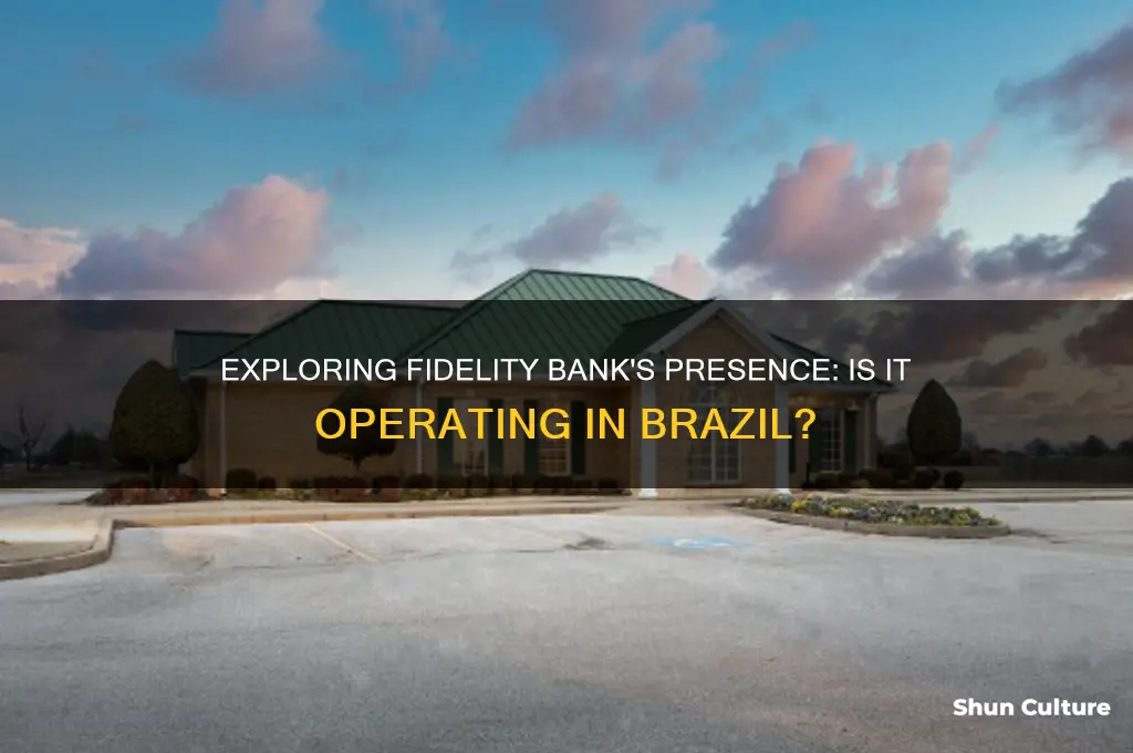 is fidelity bank in brazil