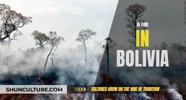 Bolivian Inferno: Flames Engulf the Country's Nature Reserves