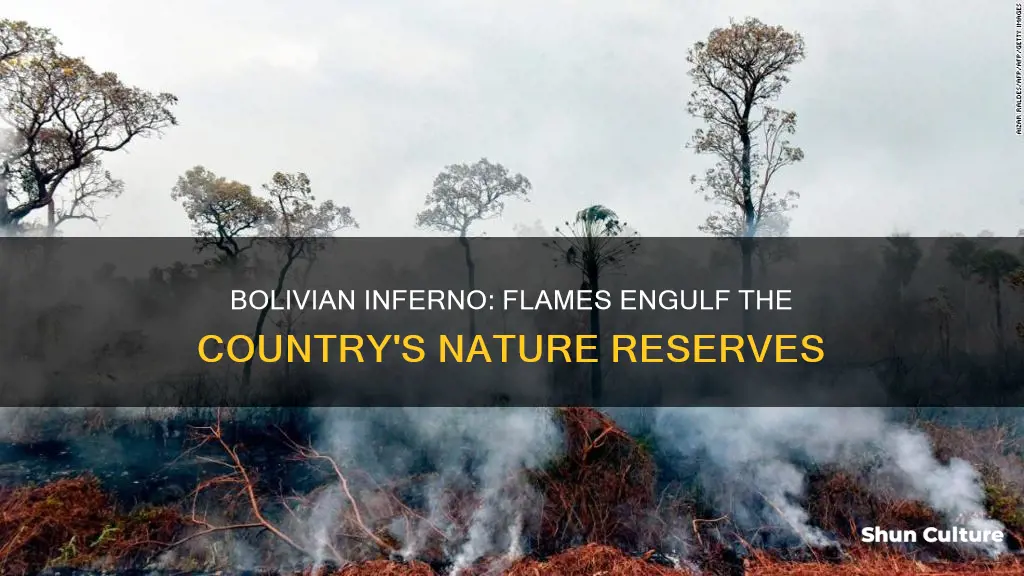 is fire in bolivia