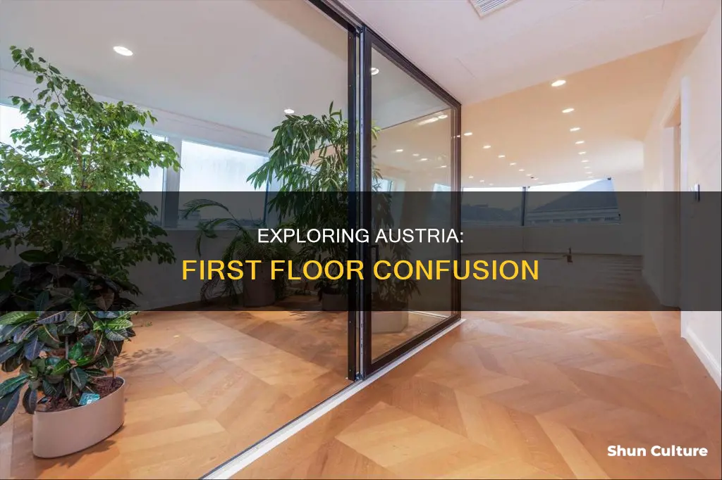 is first floor in austria one level above the street