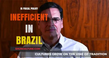 Brazil's Fiscal Policy: Inefficiency Challenges and Economic Implications