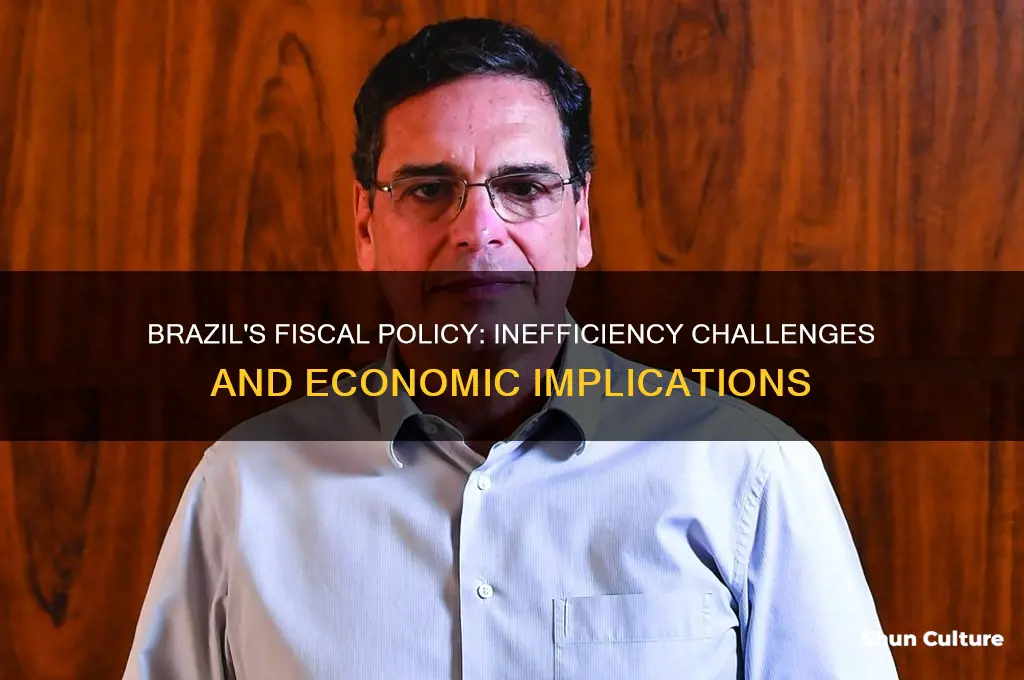 is fiscal policy inefficient in brazil
