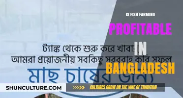 Exploring the Profitability of Fish Farming in Bangladesh: Opportunities and Challenges