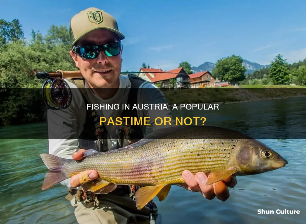 is fishing popular in austria