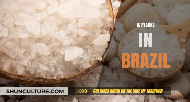 Flakka's Presence in Brazil: Uncovering the Truth and Potential Risks
