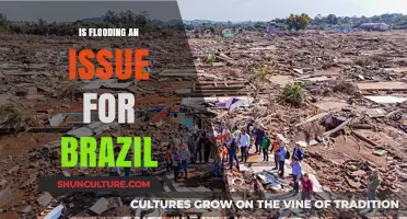 Brazil's Flooding Crisis: Causes, Impacts, and Solutions Explored