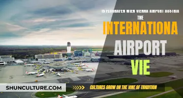 Vienna Airport: Is Vienna International Airport a Global Hub?