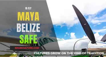 Fly Maya Belize: Is This Airline a Safe Bet?