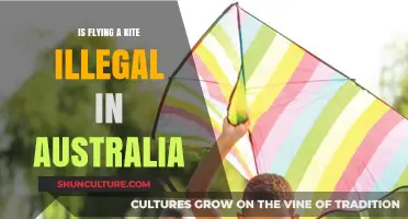 Kite Flying in Australia: Is It Legal?