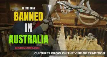 Foie Gras: Australia's Ban and Animal Rights
