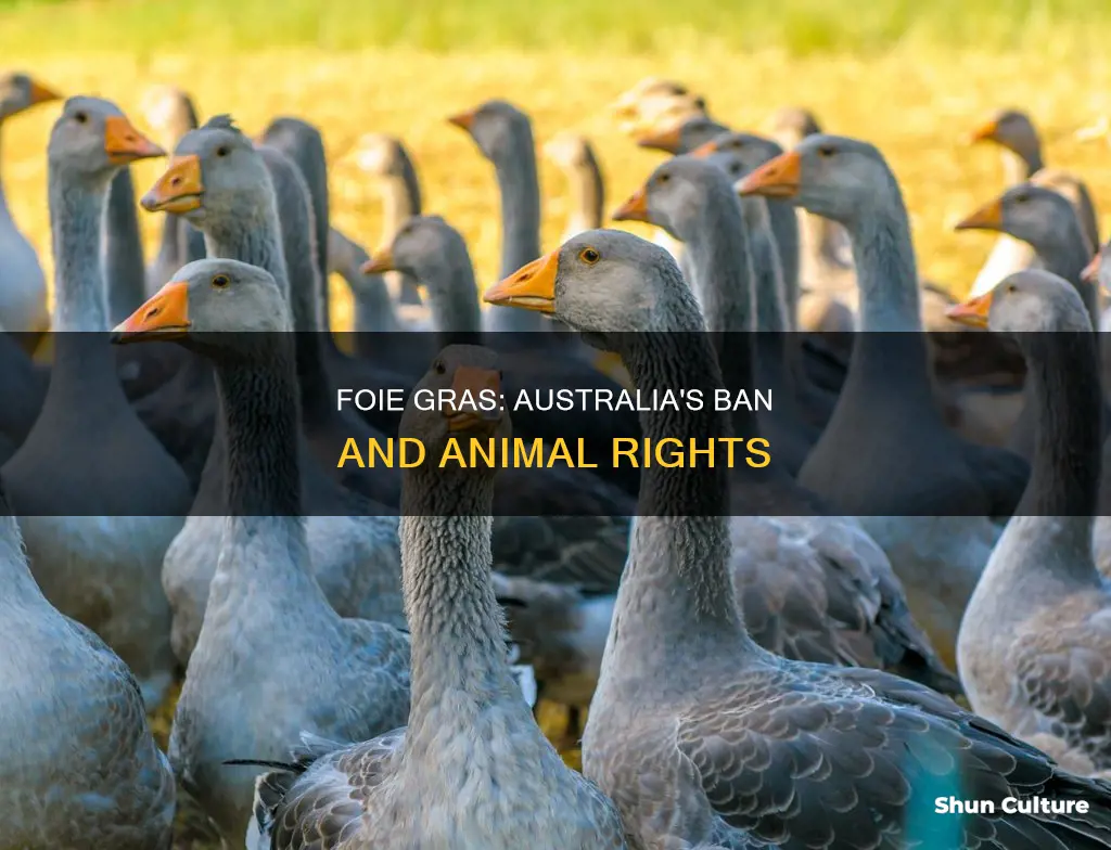 is foie gras banned in australia