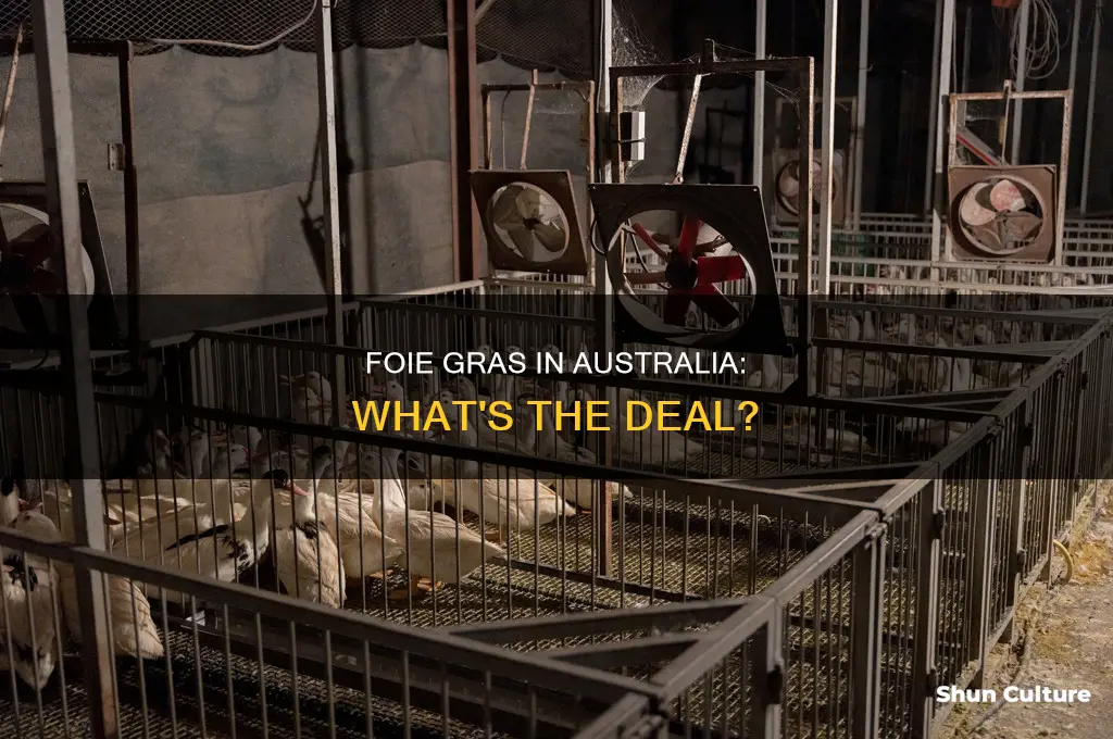 is foie gras illegal in australia