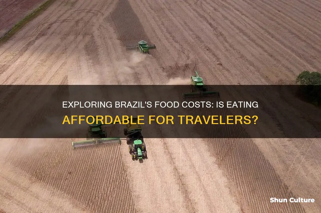 is food cheap in brazil