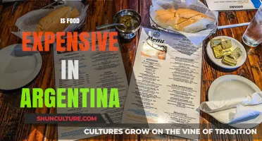 Exploring the Cost of Cuisine in Argentina: A Budget Traveler's Guide