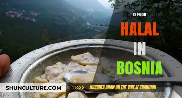 Exploring Bosnia's Culinary Scene: Understanding Halal Food Practices and Traditions