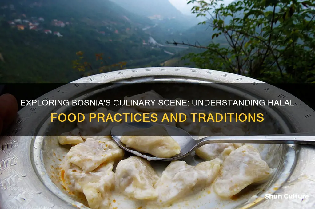 is food halal in bosnia