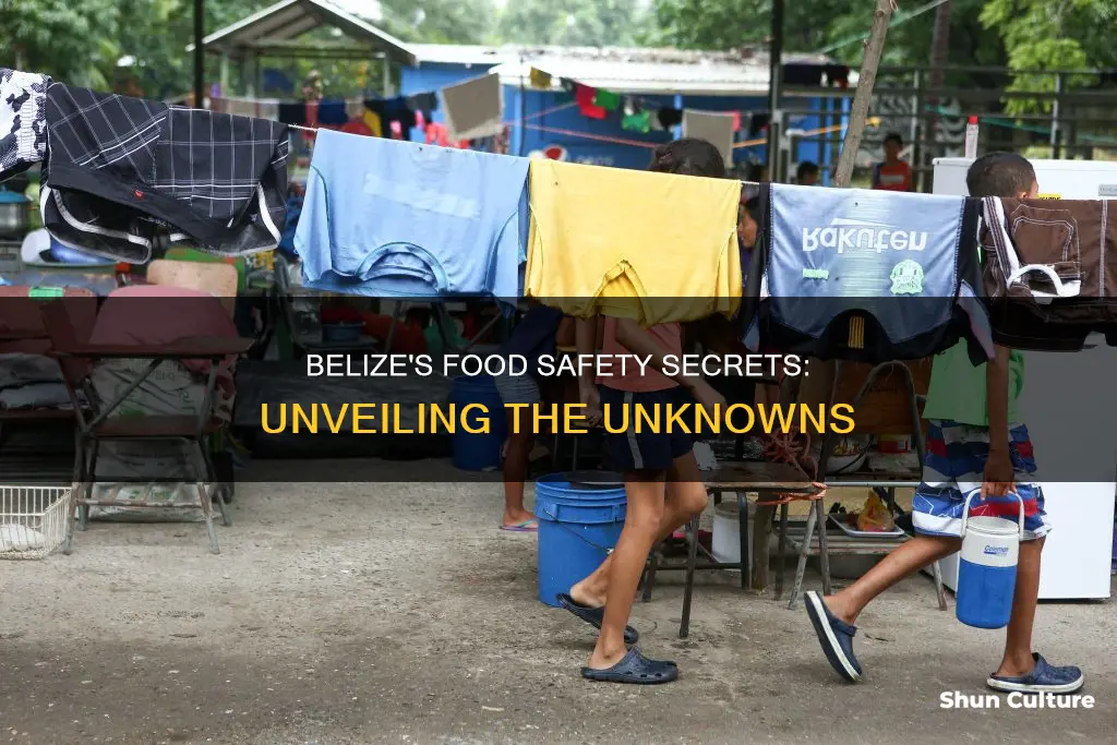 is food safe in belize