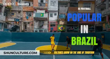 Why Football Reigns as Brazil's Undisputed National Passion