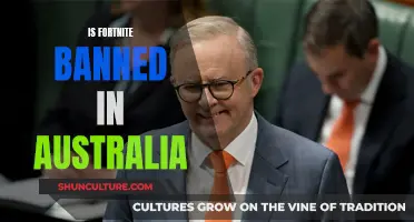 Fortnite's Future in Australia: Banned or Unbanned?