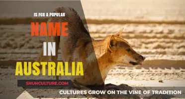 Fox: A Popular Name in Australia?