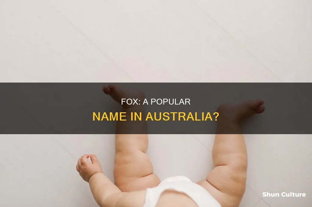 is fox a popular name in australia