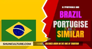 Comparing Portuguese Dialects: How Similar Are Portugal and Brazil's Versions?