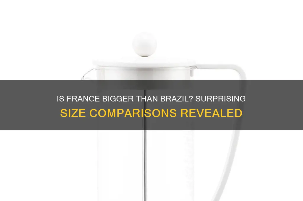 is france bigger than brazil