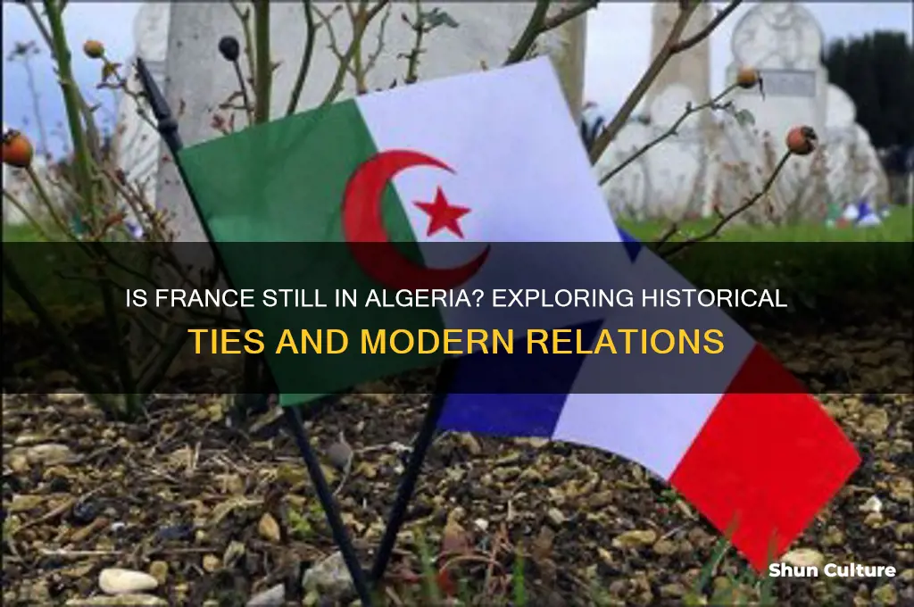 is france still in algeria