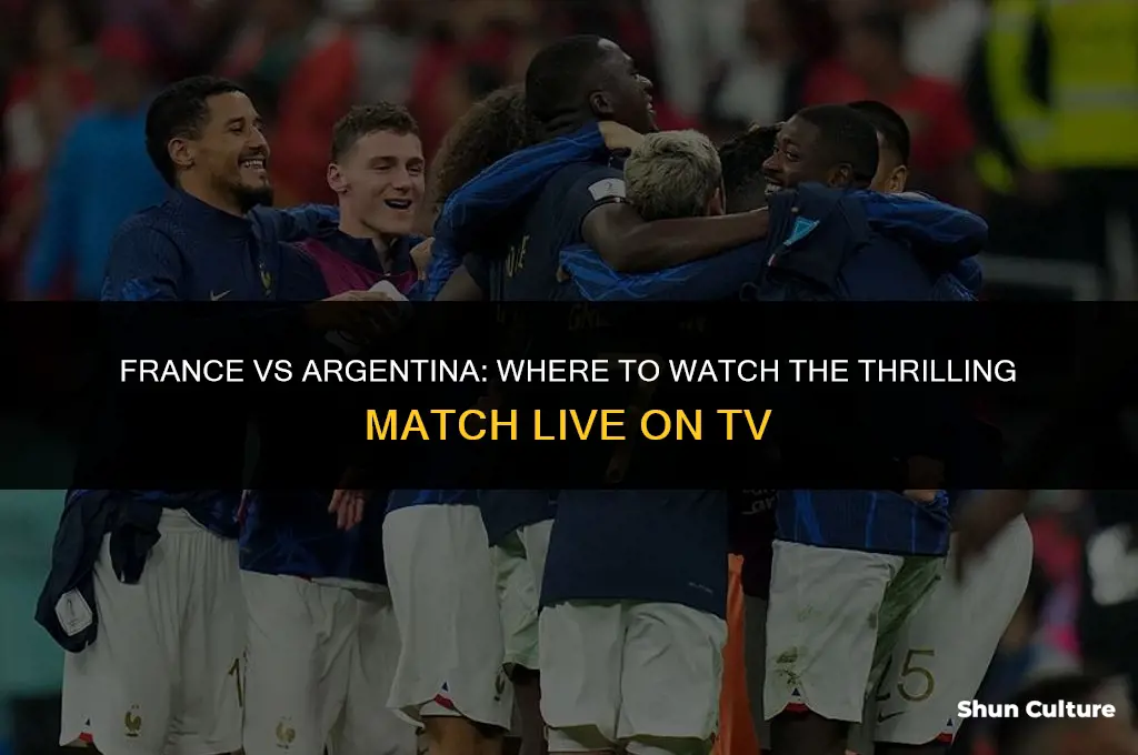 is france vs argentina on tv