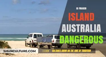 Fraser Island: A Paradise with a Bite