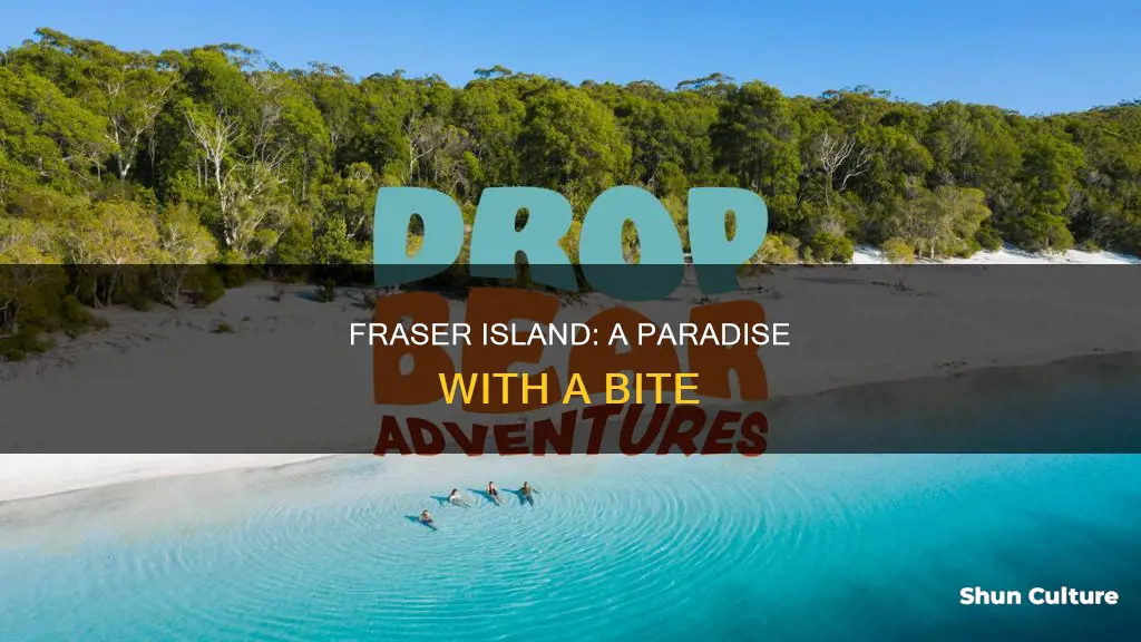 is fraser island australia dangerous