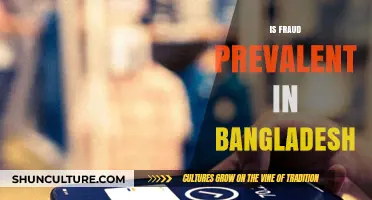 Fraud in Bangladesh: Uncovering the Prevalence and Impact on Society