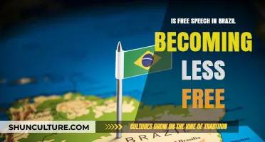 Is Brazil's Free Speech Under Threat? Analyzing Growing Restrictions