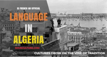 Is French an Official Language in Algeria? Exploring Linguistic Status