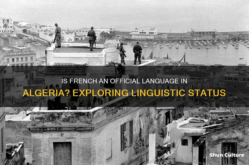 is french an official language in algeria
