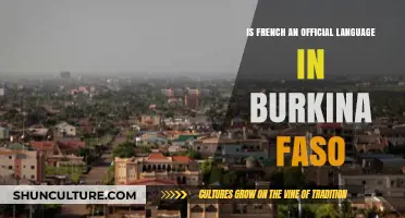 Exploring Burkina Faso's Linguistic Landscape: Is French an Official Language?