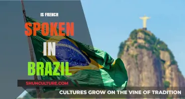 Is French Spoken in Brazil? Exploring Language Diversity in South America