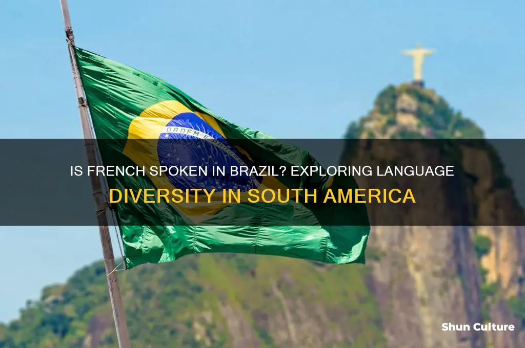 is french spoken in brazil