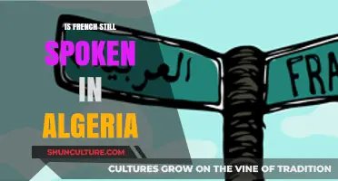 Is French Still Spoken in Algeria? Exploring Language Legacy and Usage