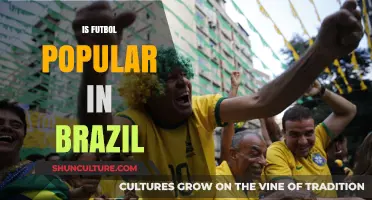 Is Futbol Brazil's Heartbeat? Exploring the Sport's Cultural Impact