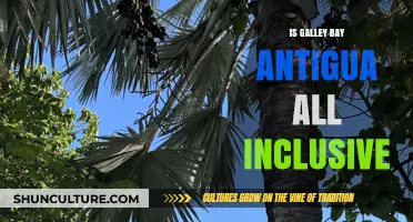 Is Galley Bay Antigua All-Inclusive? Unveiling the Resort's Offerings