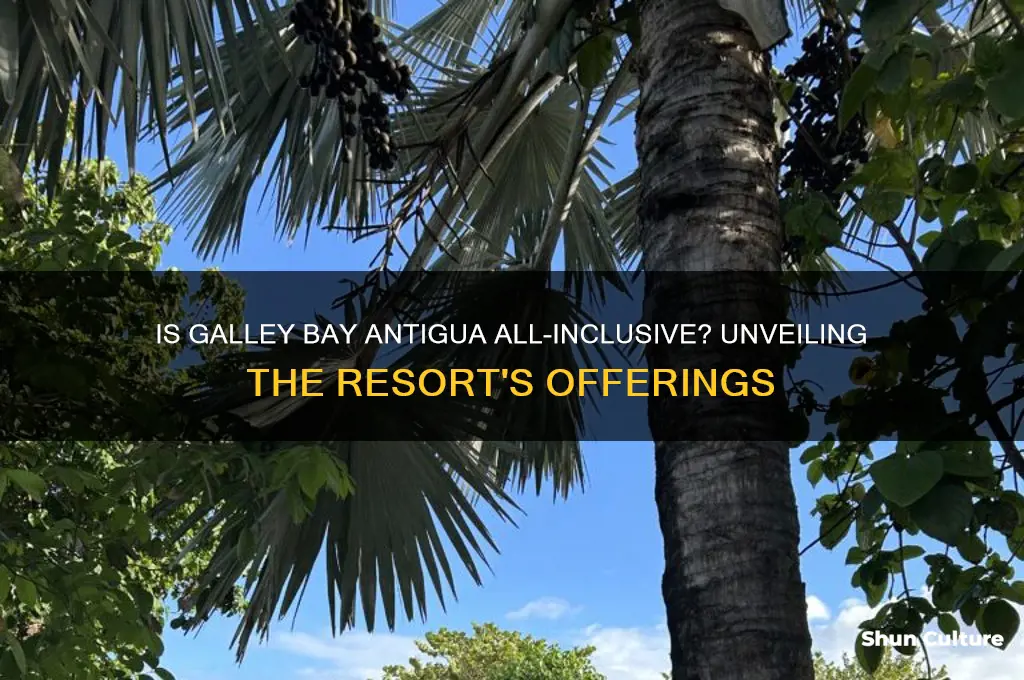 is galley bay antigua all inclusive
