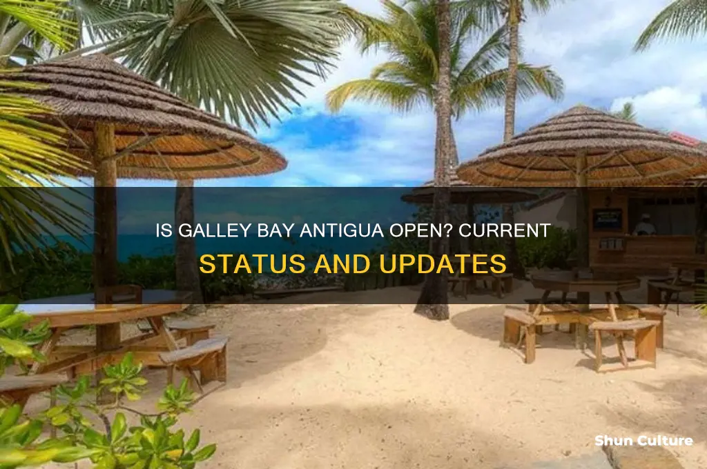 is galley bay antigua open