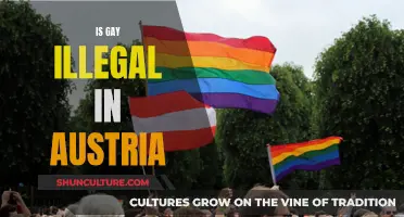 Gay Rights in Austria: Is It Illegal?