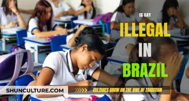 Is Being Gay Illegal in Brazil? Understanding LGBTQ+ Rights