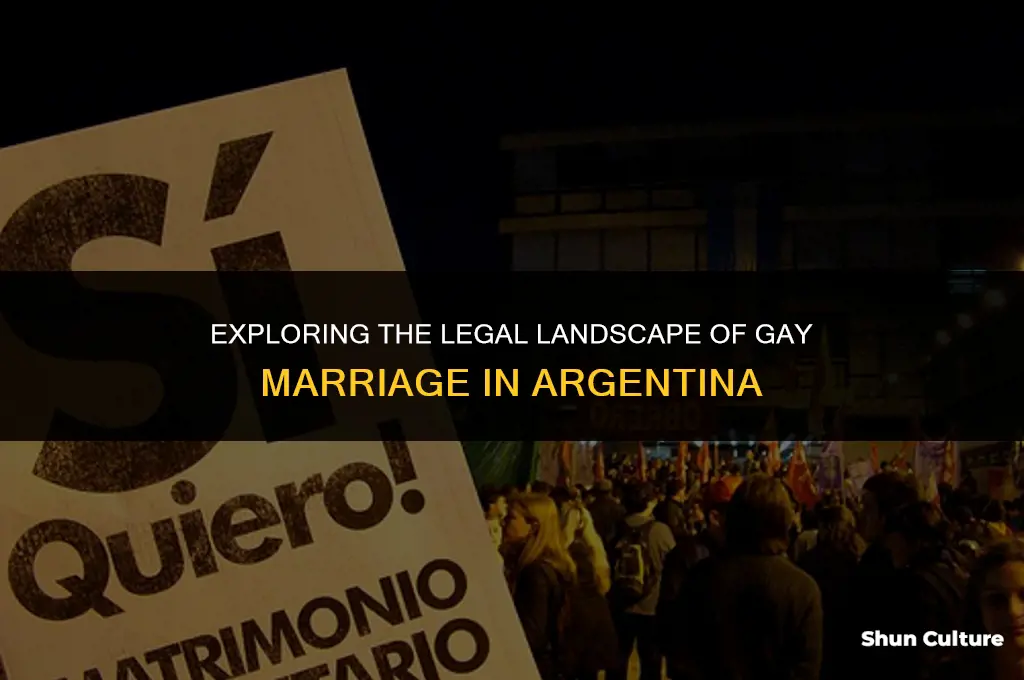 is gay marriage legal in argentina